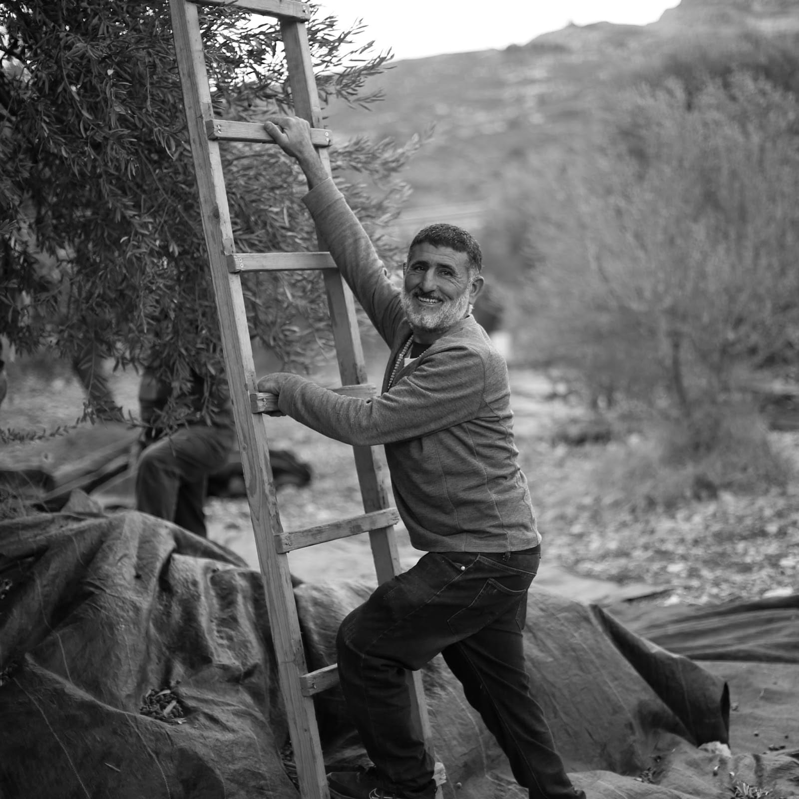 ‘A symbol of Palestinian resilience as old as time’